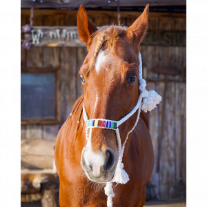 A brown horse wearing a colorful bridle is standing in front of a wooden building.