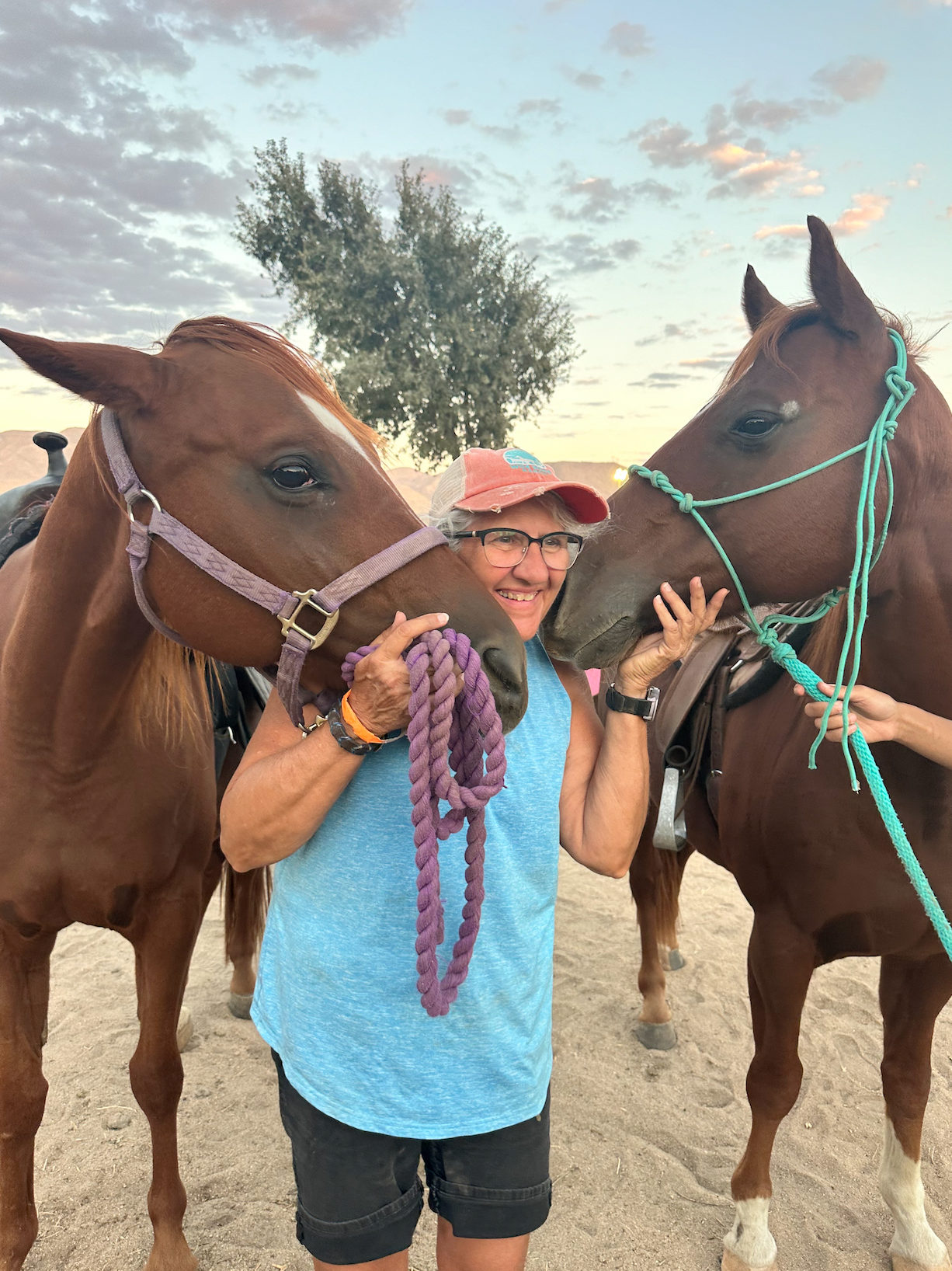 A woman is standing next to two brown horses.