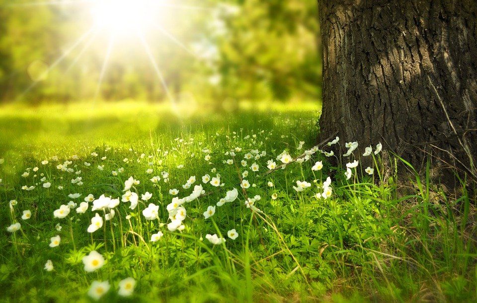 Cremation services in Cleveland OH