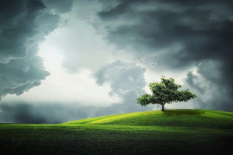 cremation services in Lakewood OH