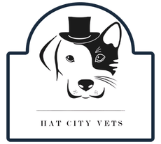 Hat City Vets logo