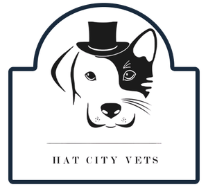 Hat City Vets logo