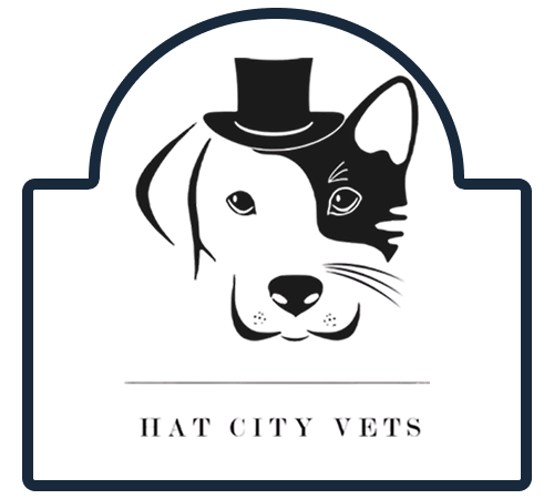 Stylized black-and-white cat and dog logo with top hat, labeled “HAT CITY VETS”