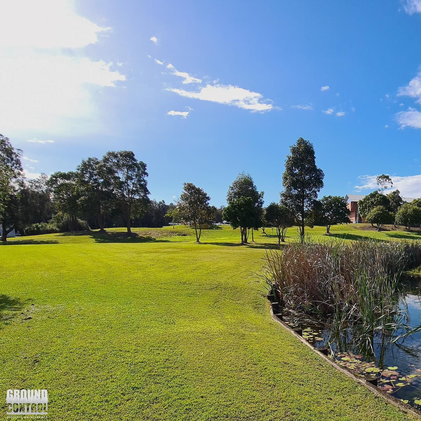 Lush Green Park With Trees Under a Bright Blue Sky — Ground Control Property Maintenance In North Boambee Valley, NSW