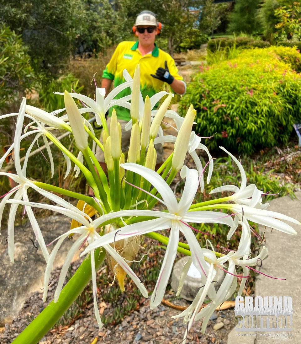 An Employee Is Standing Behind a Flower While Posing — Ground Control Property Maintenance In North Boambee Valley, NSW