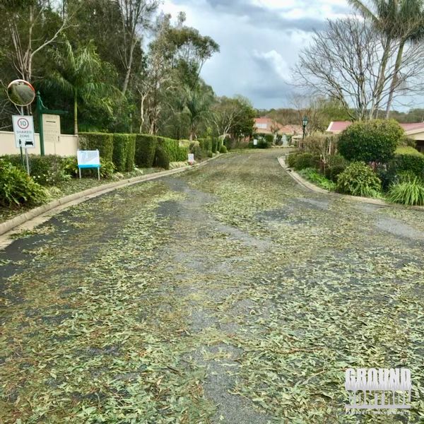 Quiet Suburban Street Covered in Fallen Green Leaves After a Storm, with Trees and Houses Along the Road — Ground Control Property Maintenance In North Boambee Valley, NSW