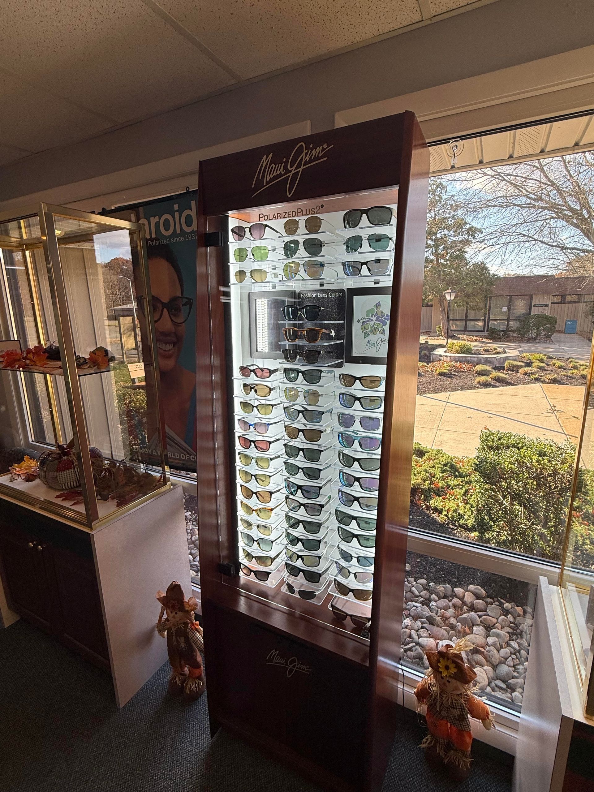 Visual processing therapy service