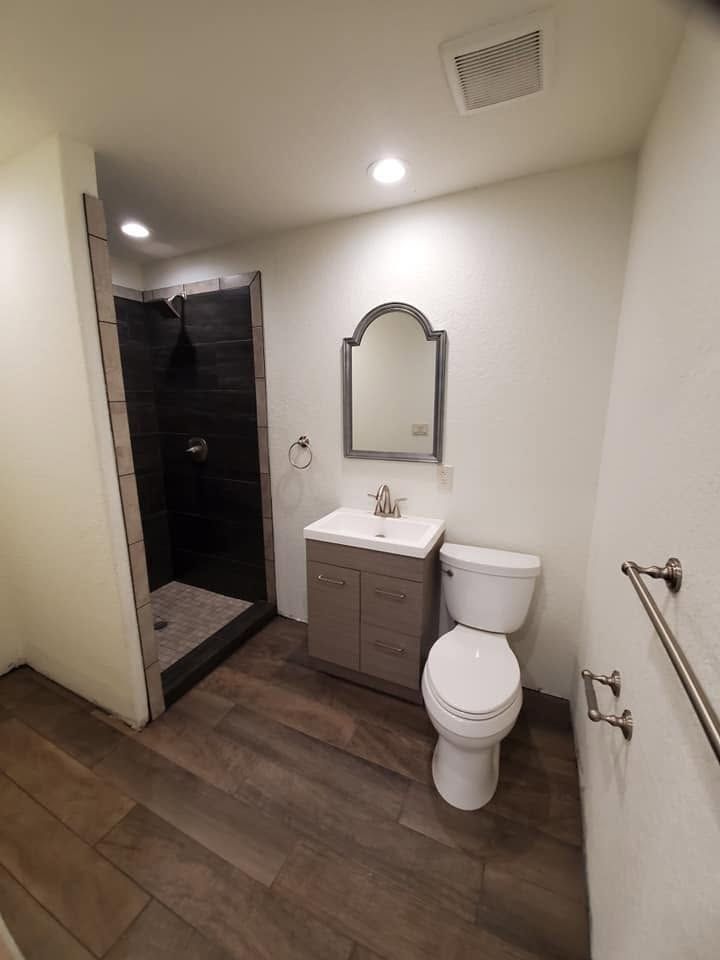 Small bathroom with toilet, vanity sink, mirror, and walk-in shower with dark tile.