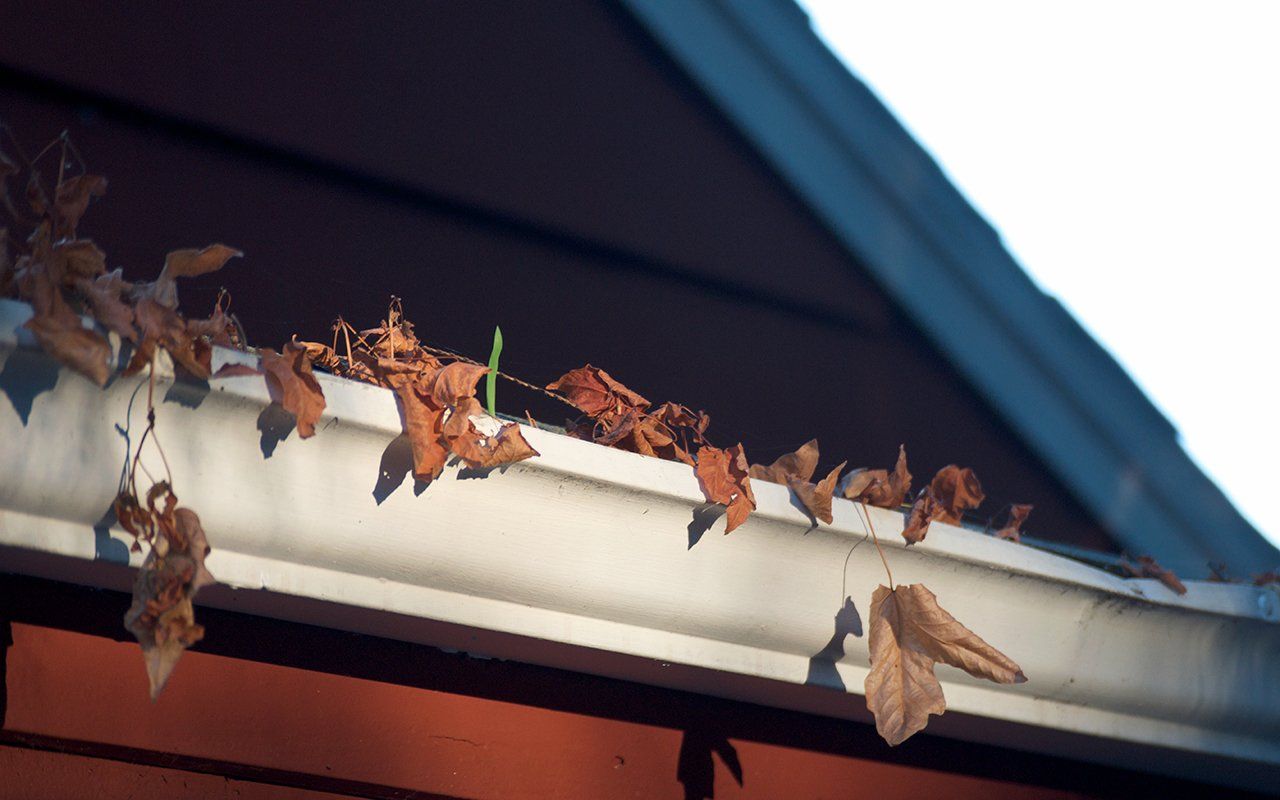 Gutter With Leaves — Lexington, KY — A Plus Roofing