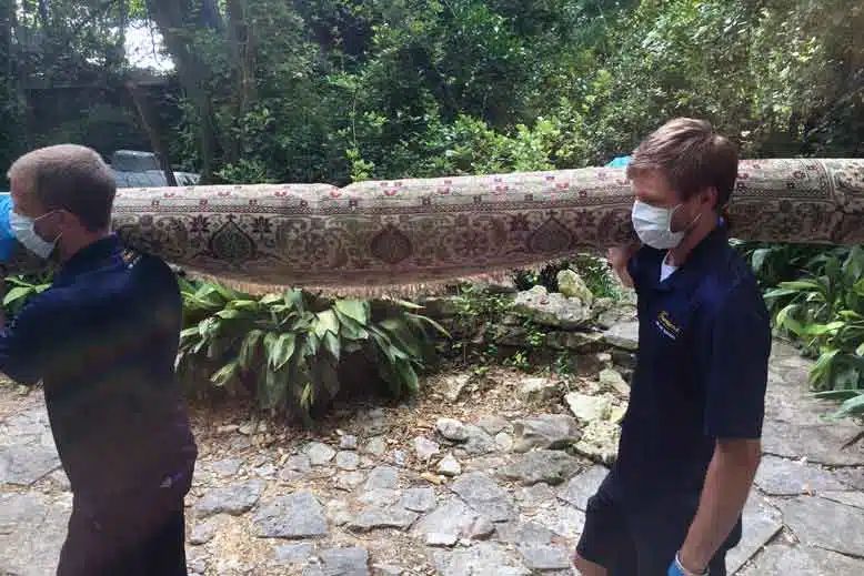Fine Rug Cleaning Delivery