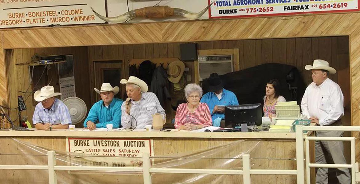 Auction market directory South Dakota Stockgrowers Association