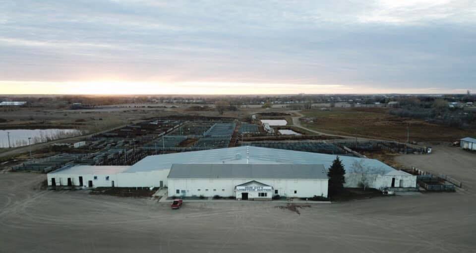 Auction market directory South Dakota Stockgrowers Association