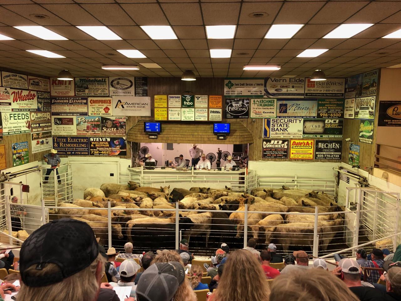 Auction market directory South Dakota Stockgrowers Association