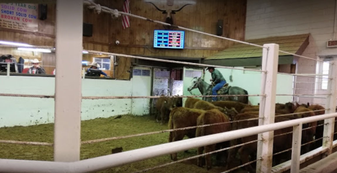 Auction market directory South Dakota Stockgrowers Association