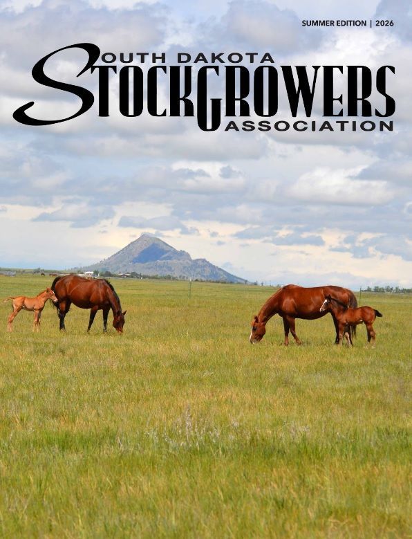 Image with horse and young colt cover of Summer issue of SDSGA
