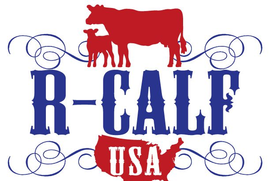 A logo for r-calf usa with a cow on it