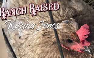 A close up of a chicken in a cage with the words `` ranch raised with karina jones '' written above it.