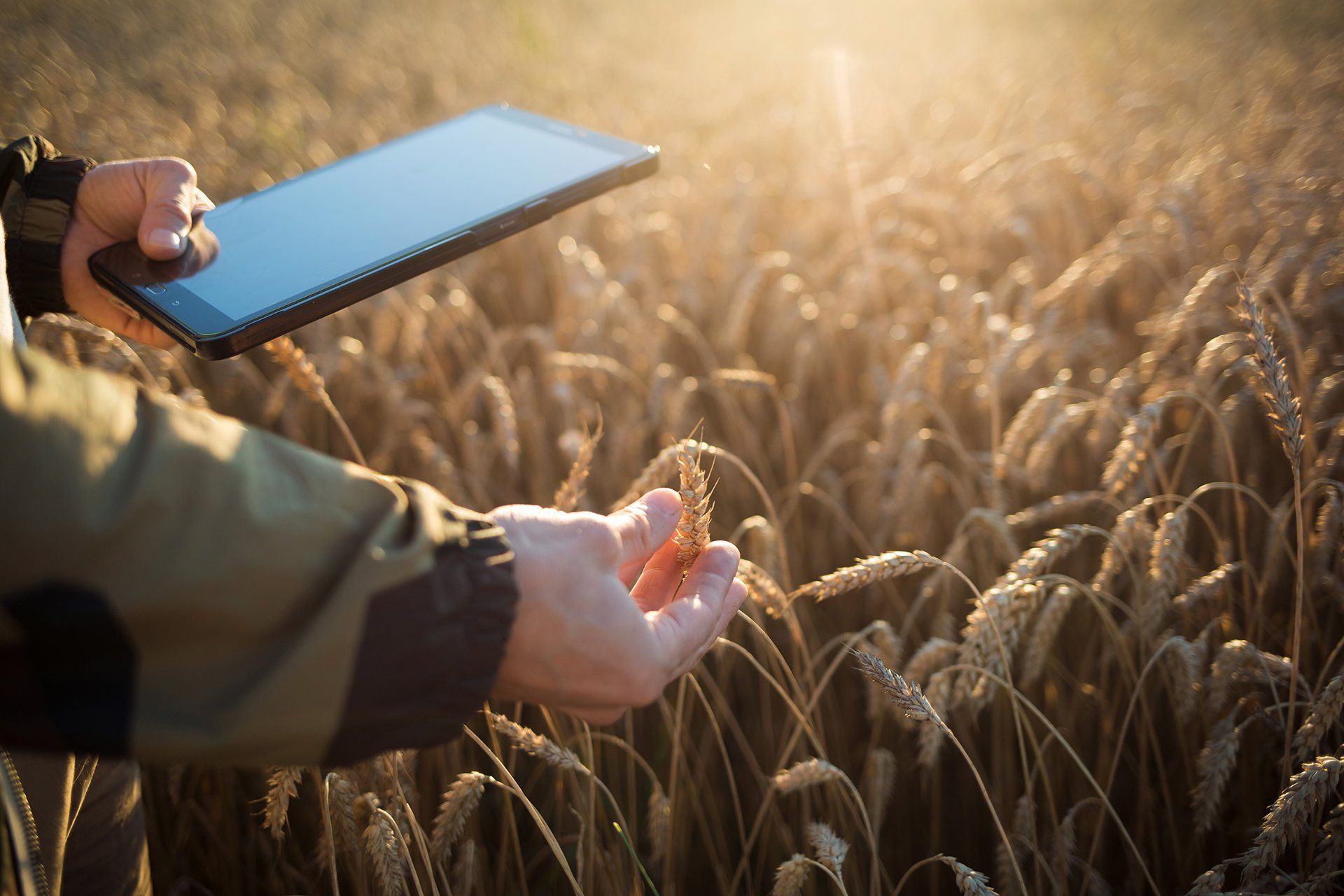Summerlane - Agricultural Consultants