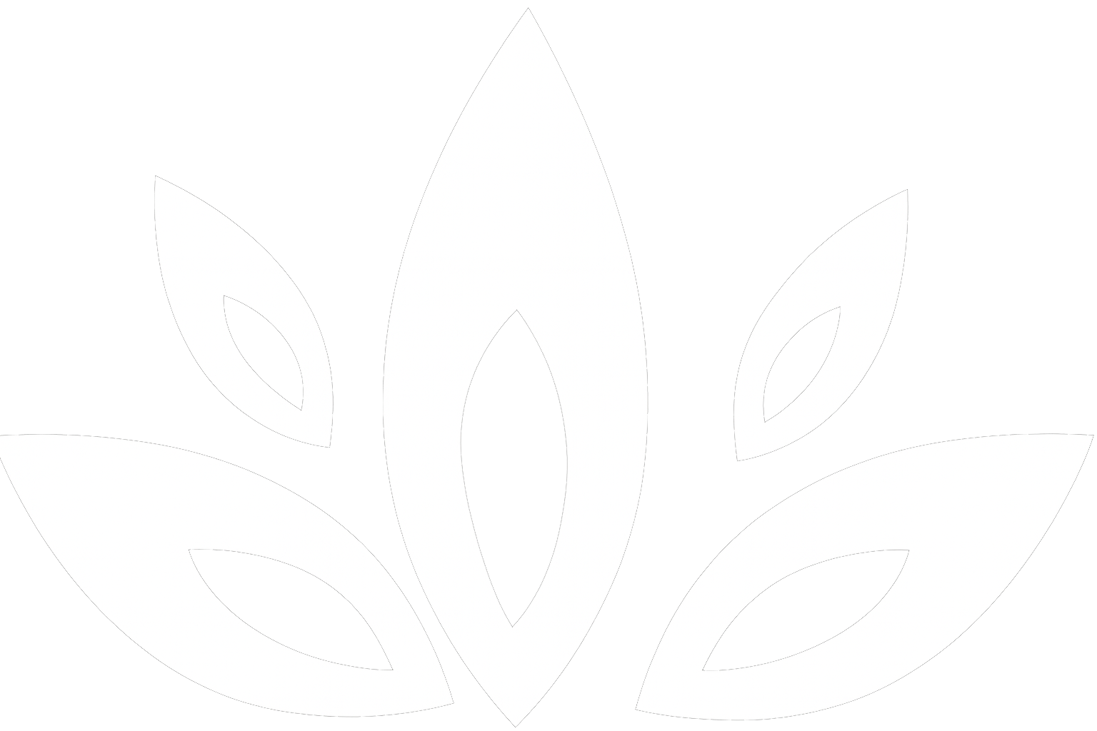 Contorno bianco di un fiore di loto stilizzato con cinque petali.