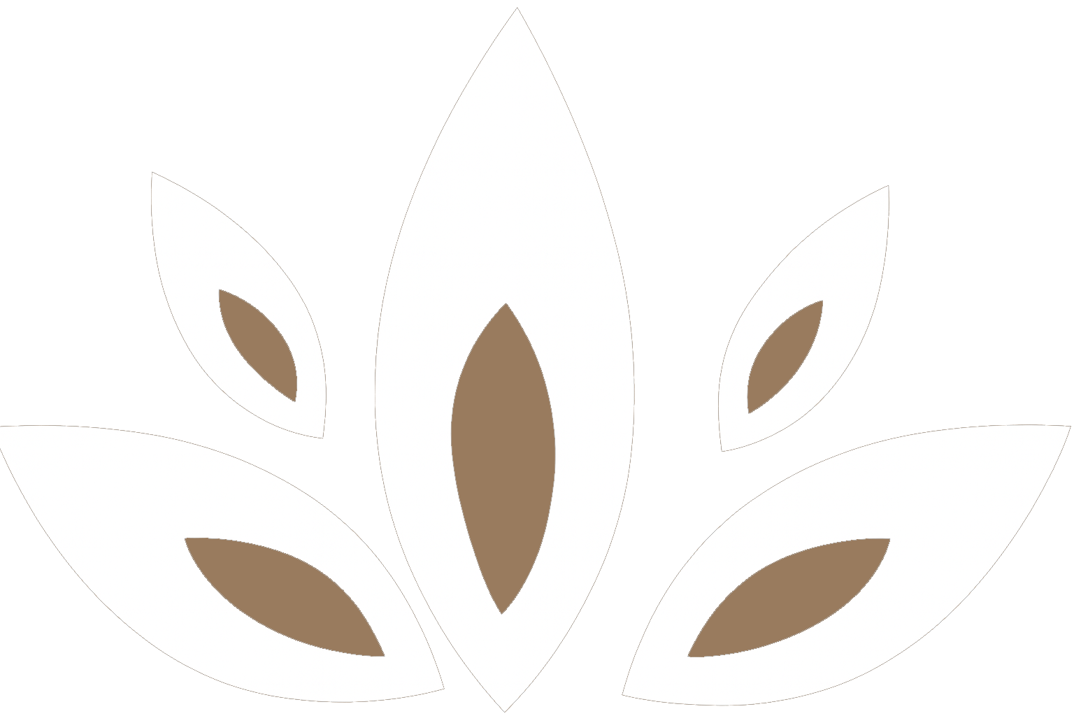 Disegno di fiore di loto marrone e bianco.