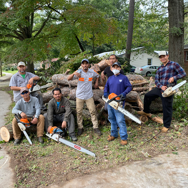 BNC Tree Service Team
