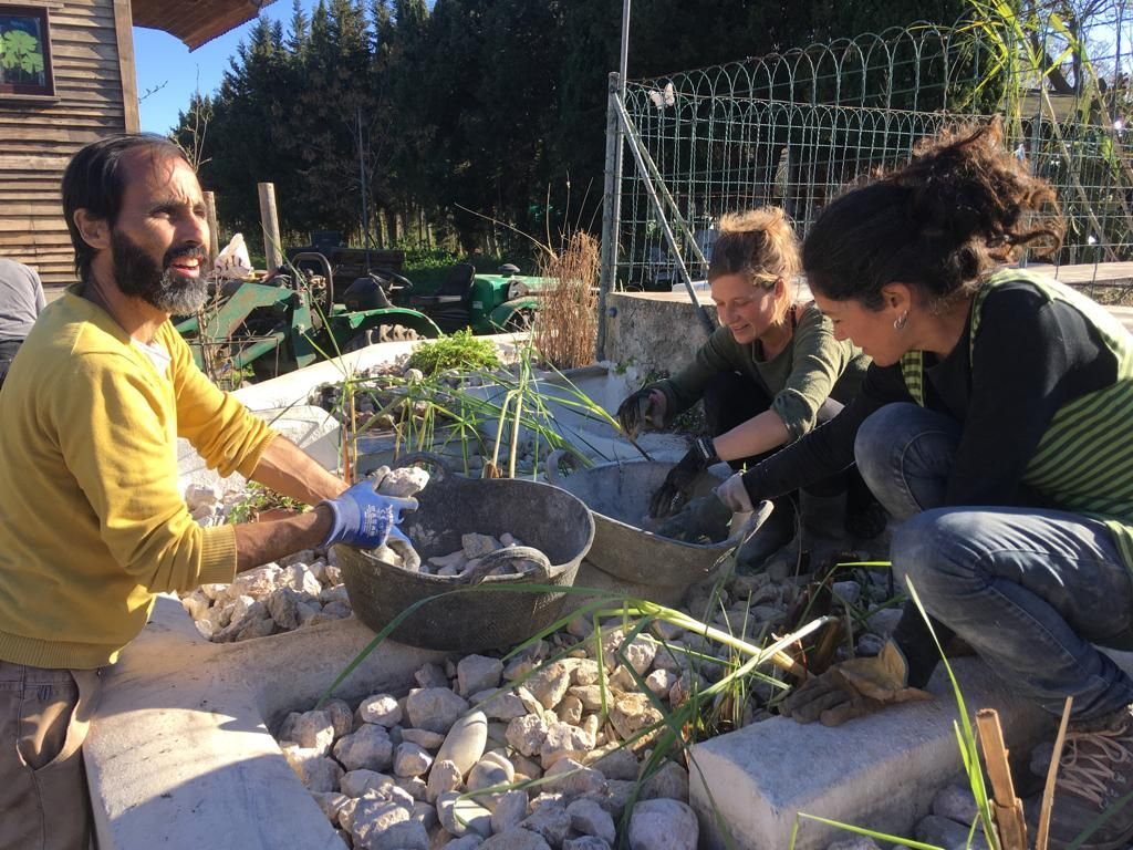 Son Barrina S.L. Finca