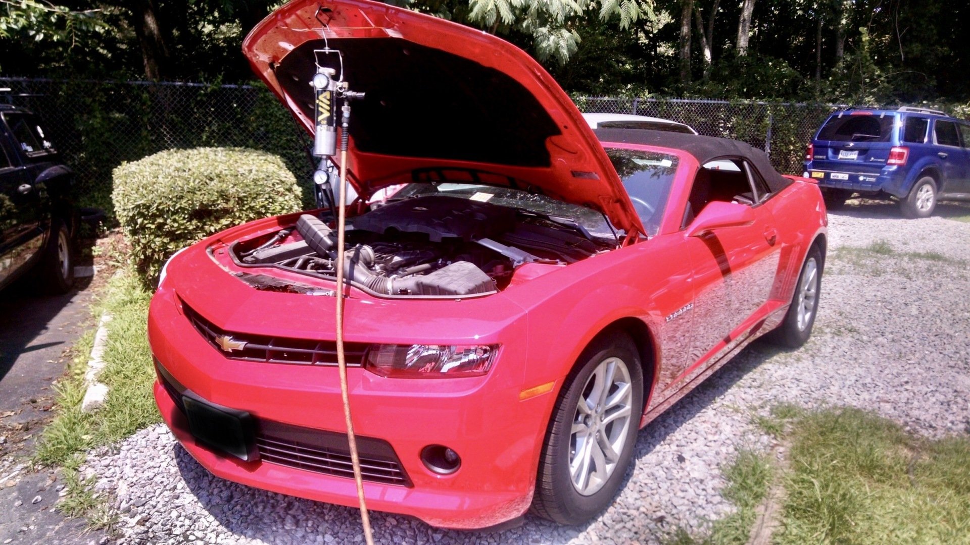 BG Automotive Maintenance Services