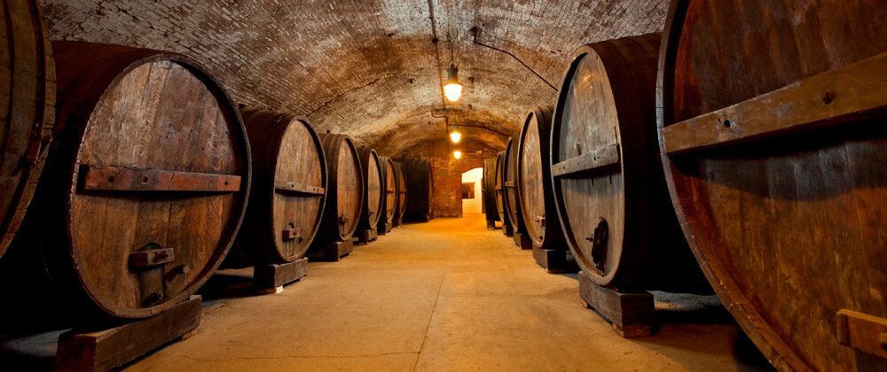 A row of wooden barrels are lined up in a wine cellar.