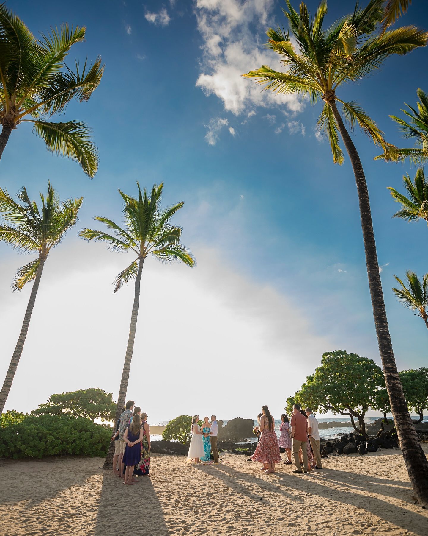 People standing on a sandy beach beneath tall palm trees under a bright blue sky.