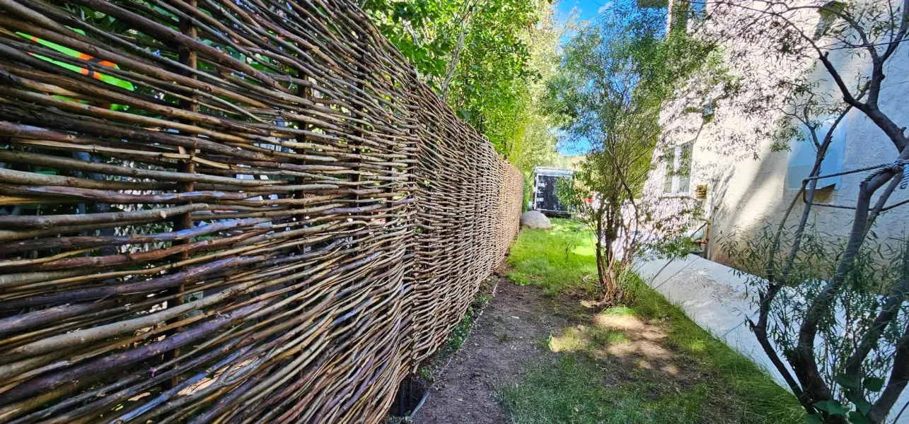 Narrow garden path between a woven fence and white wall, shaded by trees and greenery.