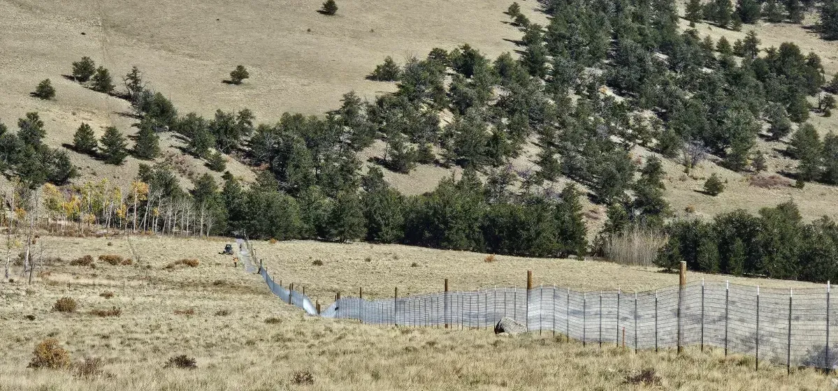 Dry grassy hillside with scattered pine trees and a fenced roadside ditch under a cloudy sky