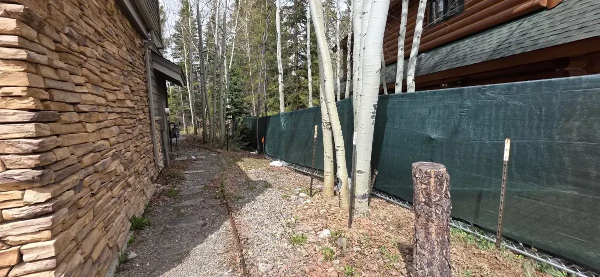 Narrow gravel path beside a stone house and birch trees, with a green fence and log cabin wall.