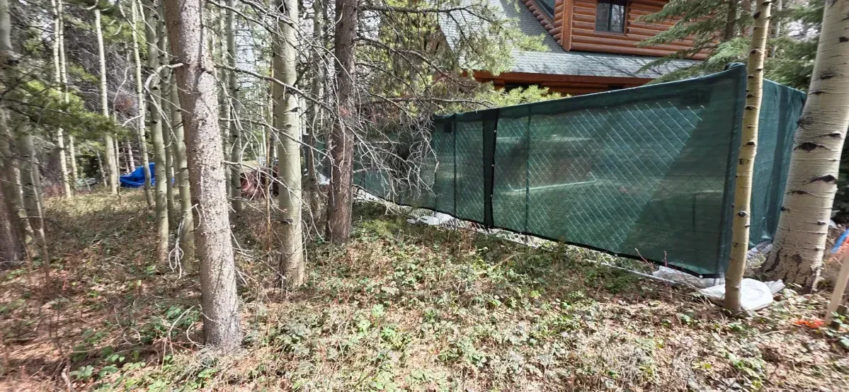 Wooded yard with tall trees, a green privacy fence, and a small cabin in the background