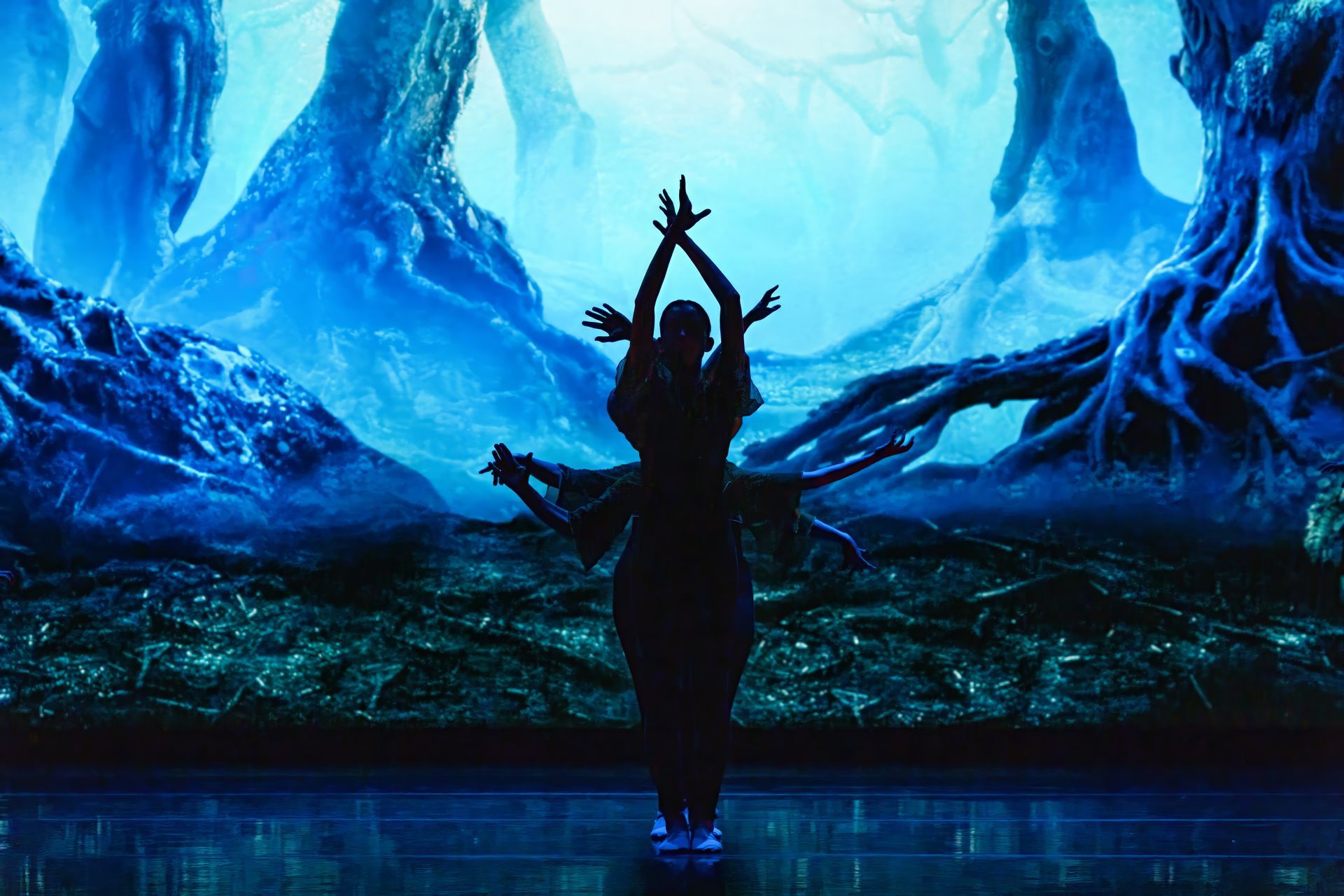 Silhouette of a dancer with arms raised on a blue-lit stage backdrop