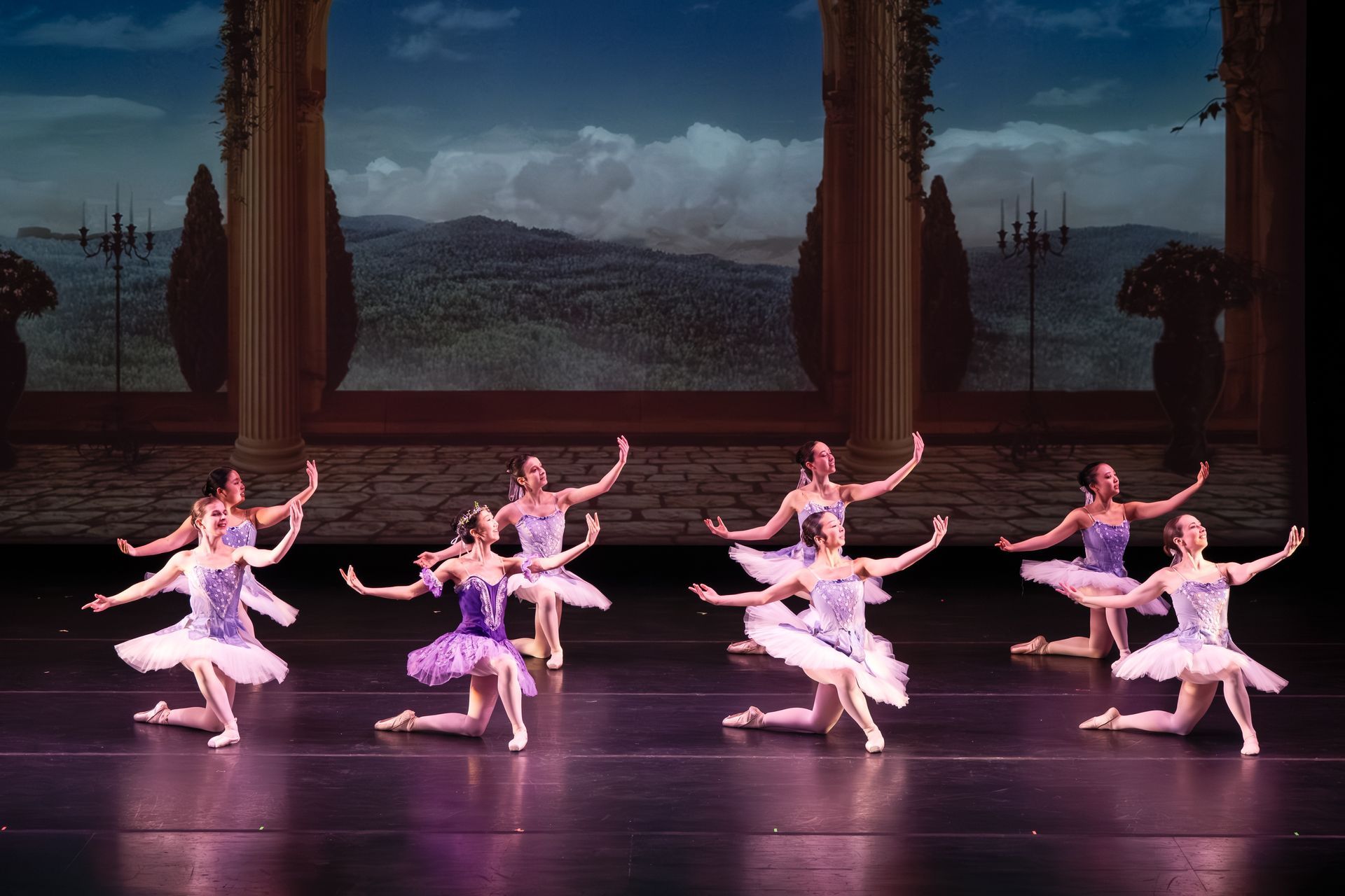 Ballet dancers in pink tutus perform on a stage with a painted landscape backdrop.