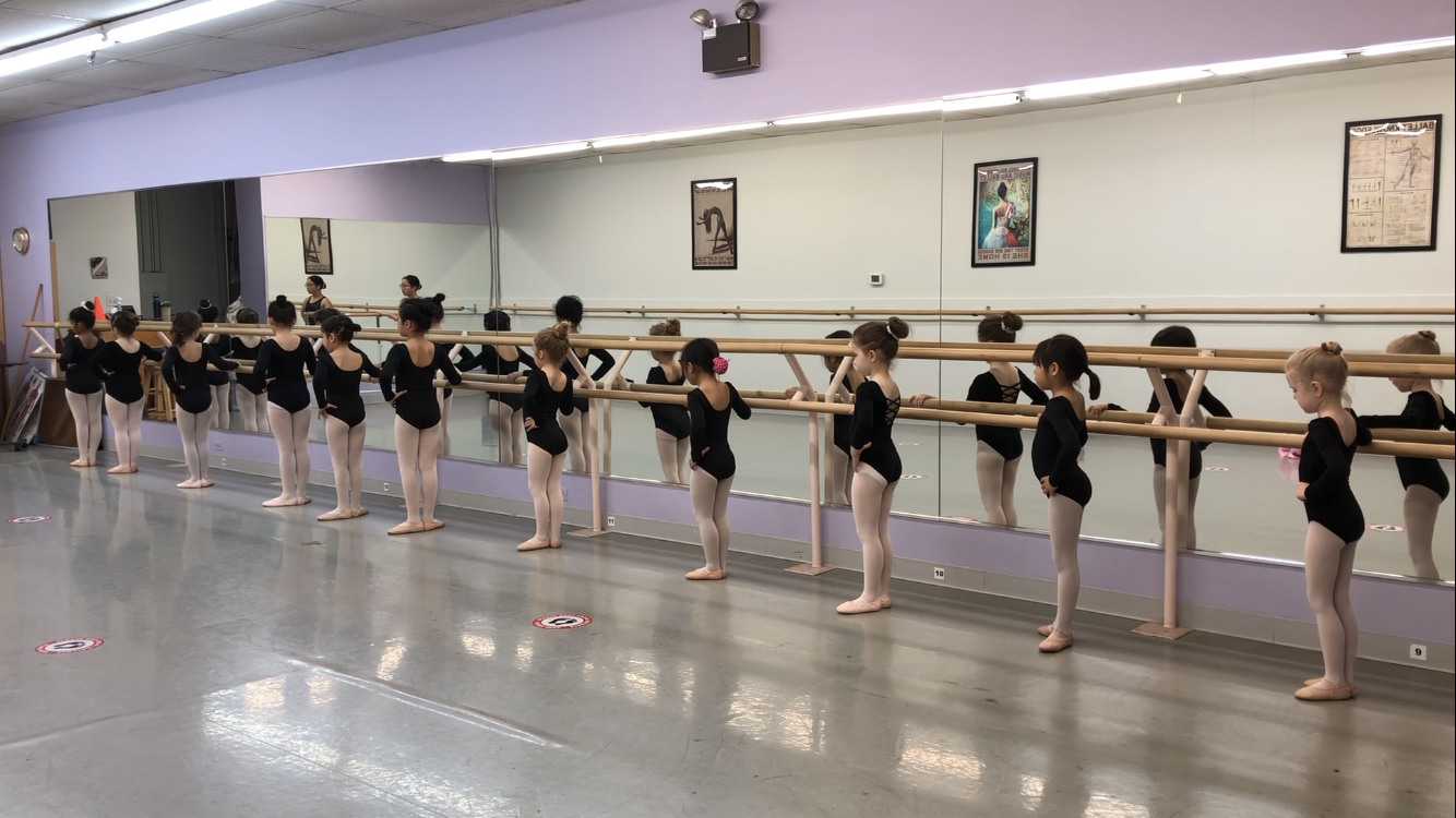 Children's Ballet - Ballet Academy in Schaumburg, IL Children's Ballet - Ballet Academy in Schaumburg, IL