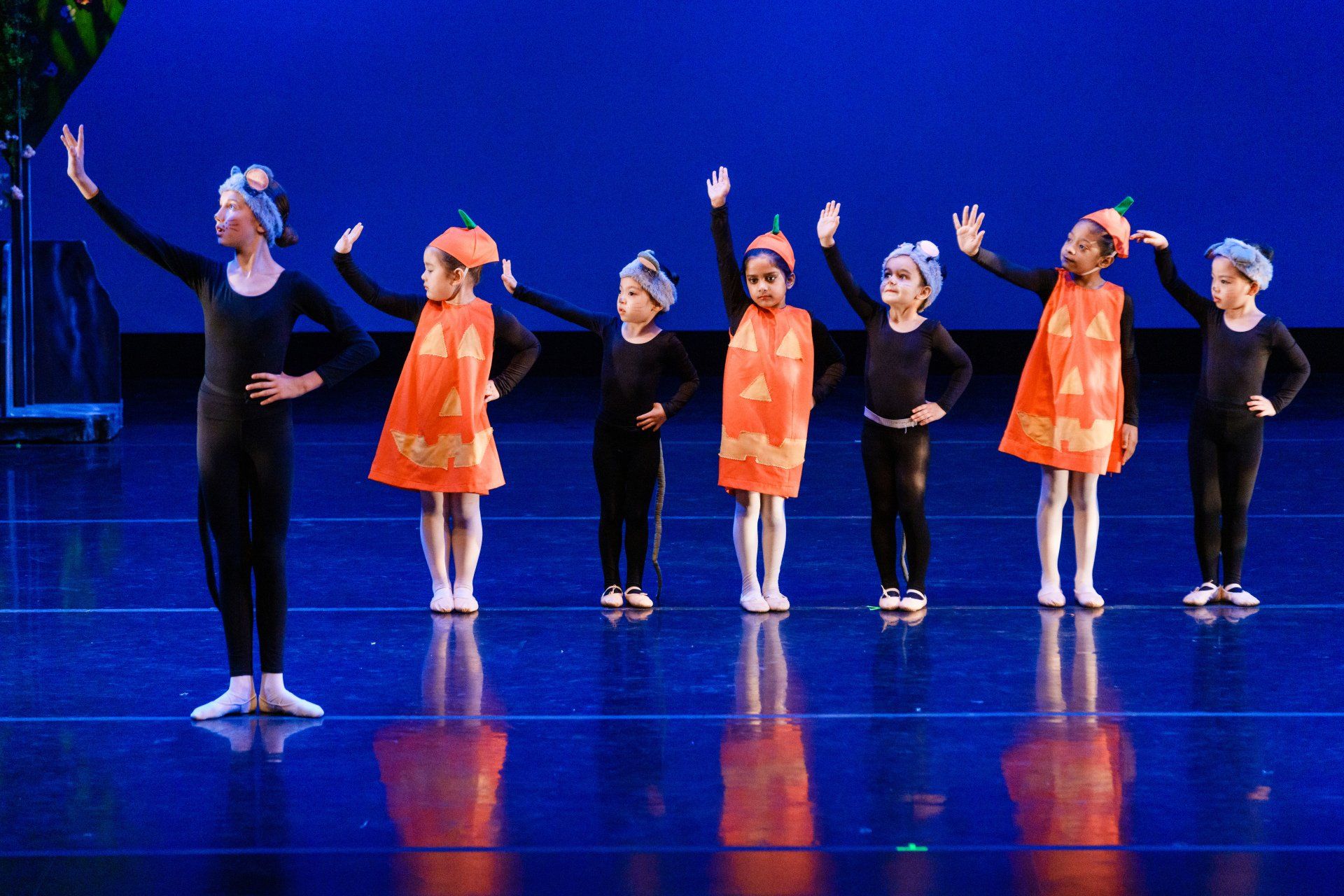 Seven dancers in orange and black costumes pose on a blue stage, one arm raised.