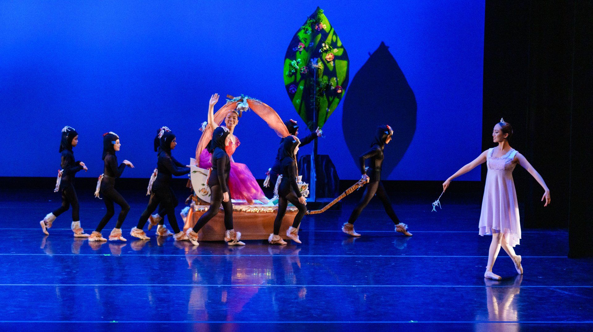 Ballet dancers on a blue-lit stage, with a colorful leaf prop and a dancer in a pink tutu at center