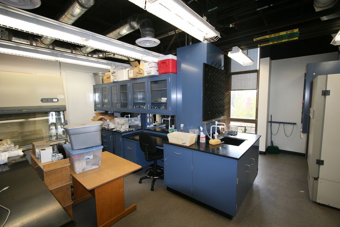 A laboratory with blue cabinets and a sink