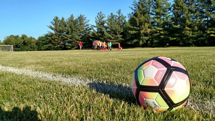 Soccer ball on grassy field with players in the distance and trees under a blue sky