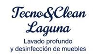 Logo de Tecno & Clean Laguna con texto: “Lavado profundo y desinfección de muebles”.