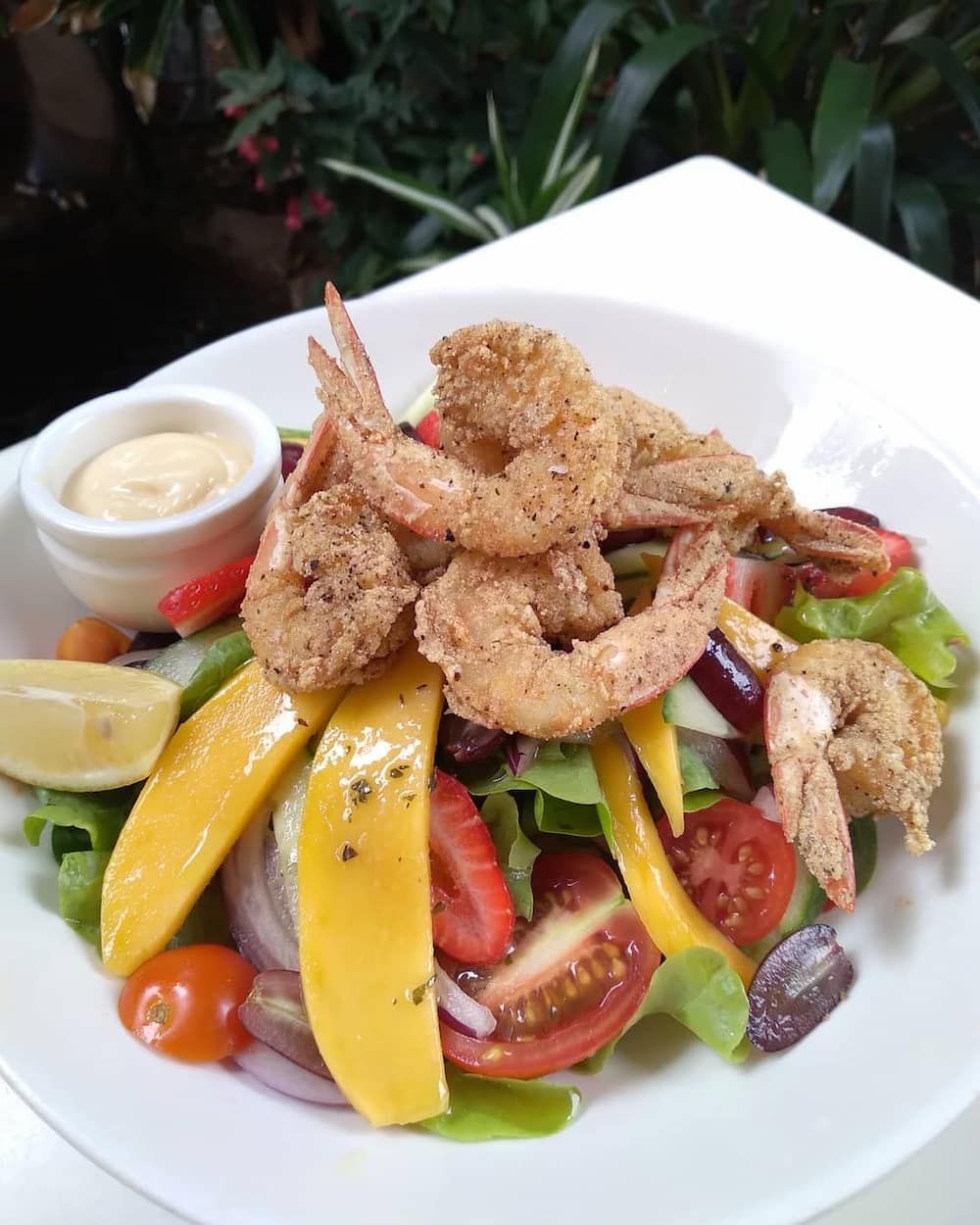 A Salad With Shrimp Tomatoes And Mangoes On A White Plate — Vines at 139 in Grafton, NSW