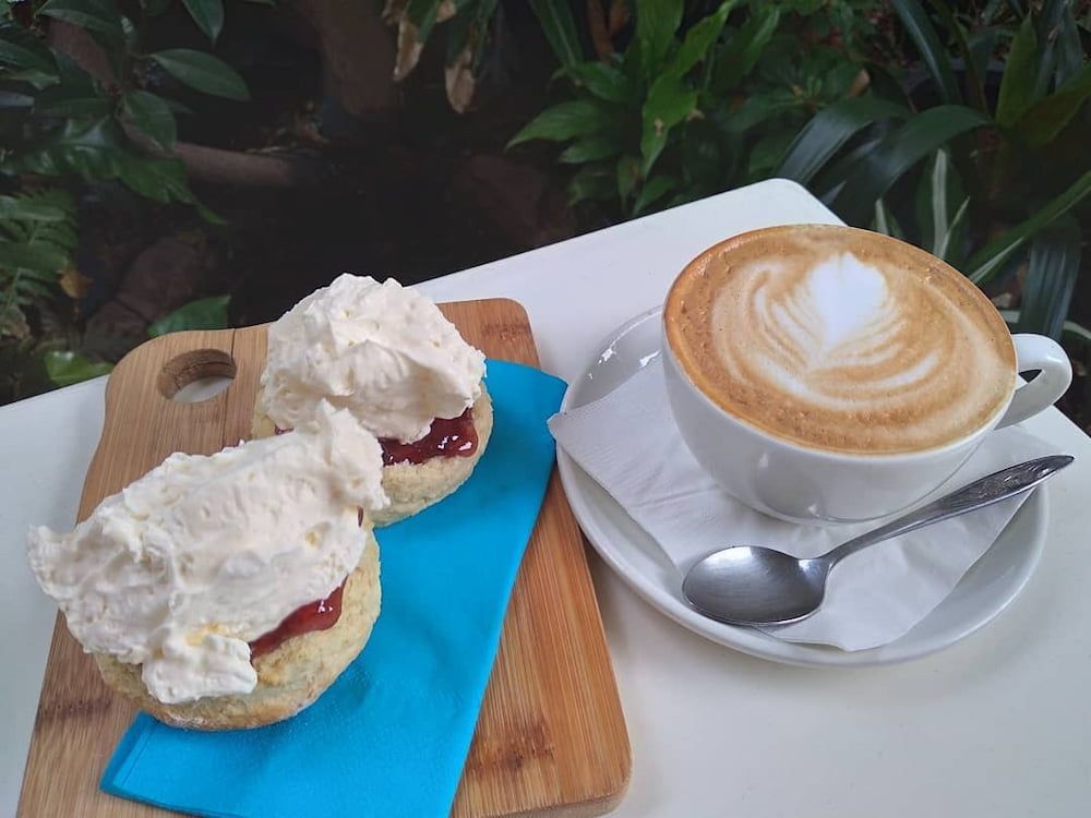 Two Scones With Whipped Cream And Jam Next To A Cup Of Cappuccino — Vines at 139 in Grafton, NSW