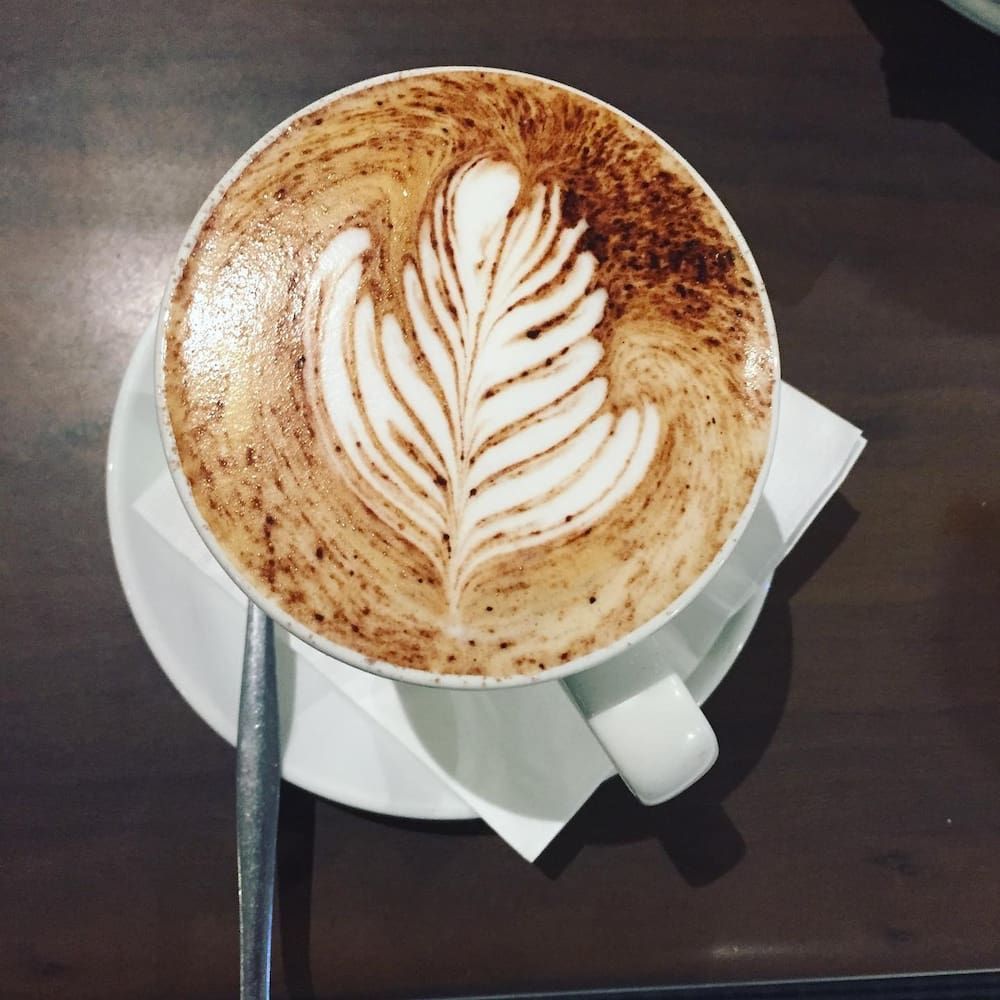 A Cup Of Cappuccino With A Leaf Design On The Foam — Vines at 139 in Grafton, NSW