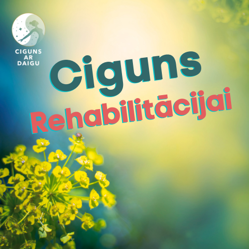 Ciguns Rīgā | ID 