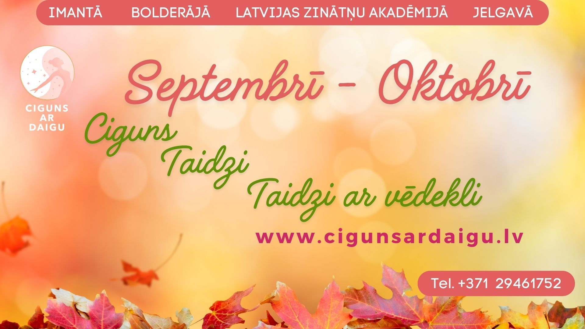 ciguns, taidzi, taidzi ar vēdekli, jūnijs, Rīga, Daiga Šļahta