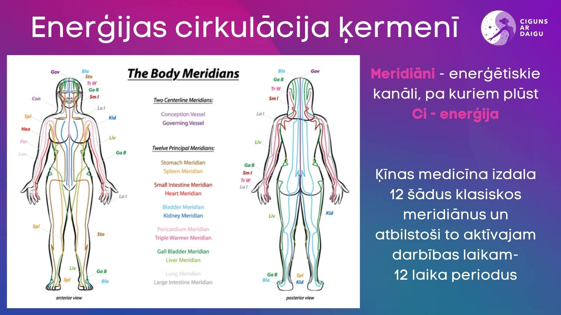 ciguns , cigun, meridiāni, enerģija, ciguns ar daigu, vingro, Qigong, taidzi, taidzi 24 pamatformas