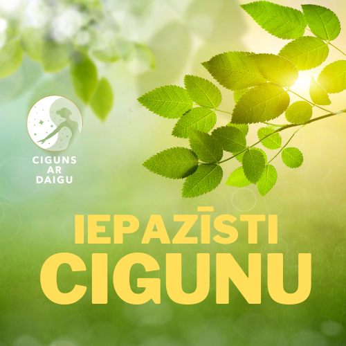 Ciguns, Cigun, Cigun nodarbības, Ciguns online, vingro tiešsaistē, ciguns ar Daigu, Daiga Šļahota, Daiga Slahota, vingrošanas nodarbības, muguras veselība, locītavas, labsajūta, harmonija, kas ir ciguns, iepazīsti cigunu, kas-ir-ciguns, darbs ar enerģiju