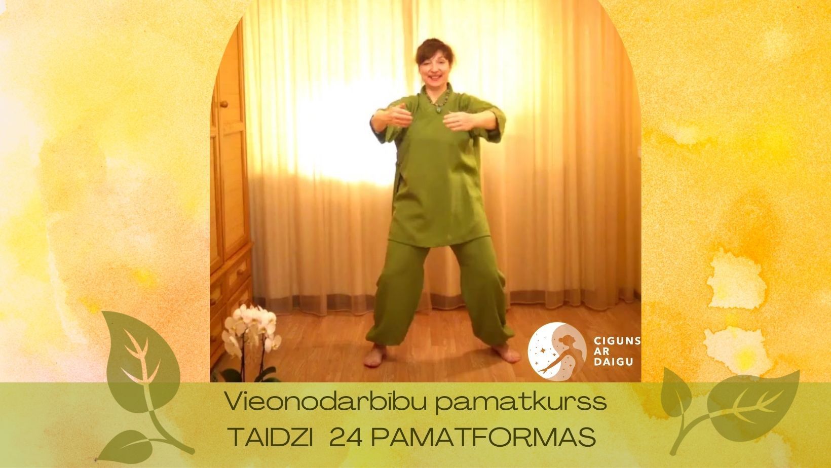 Videonodarbību pamatkurss Taidzi 24 pamatformas, taidzi, ciguns ar daigu, Gaiga Šļahota, taidzi nodarbības, kur apgūt taidzi, taidzi cjuaņ, taidzi rīgā, tai chi, taichi
