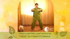 Taidzi 24 pamatformas